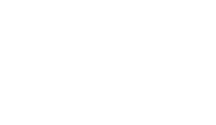 Sofia Olive Oil